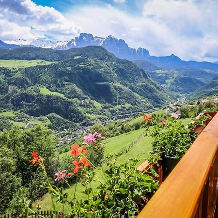 Apartamento Bio Kraeuterhof Oberpalwitter Barbiano  Exterior foto